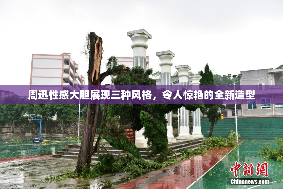 周迅性感大胆展现三种风格，令人惊艳的全新造型