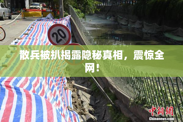 散兵被扒揭露隐秘真相，震惊全网！