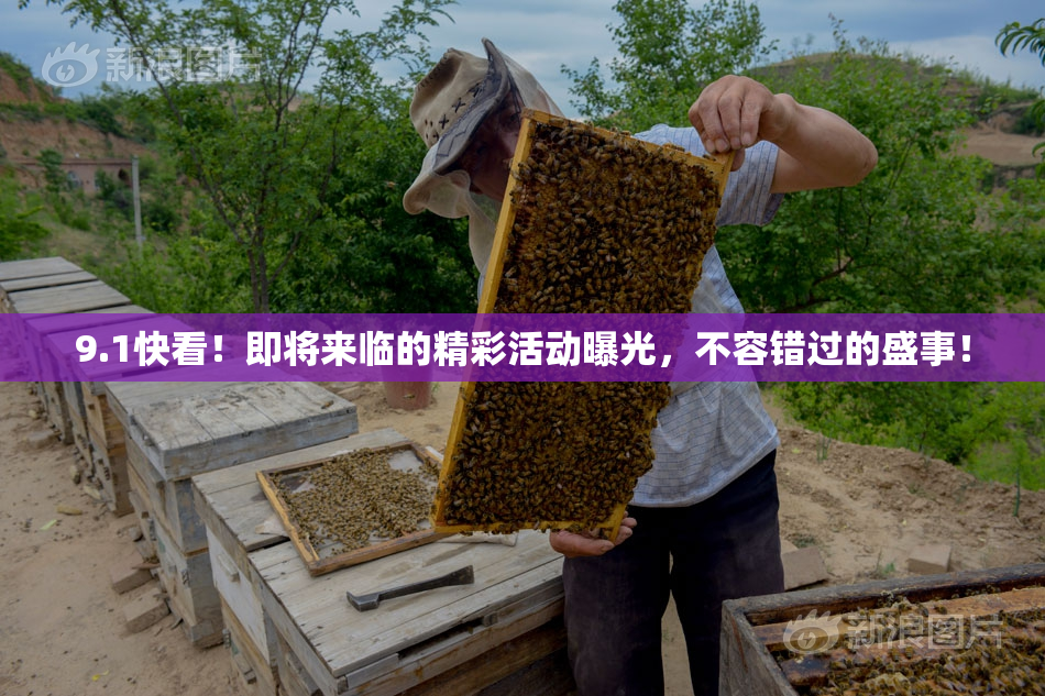 9.1快看！即将来临的精彩活动曝光，不容错过的盛事！