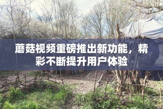 蘑菇视频重磅推出新功能，精彩不断提升用户体验