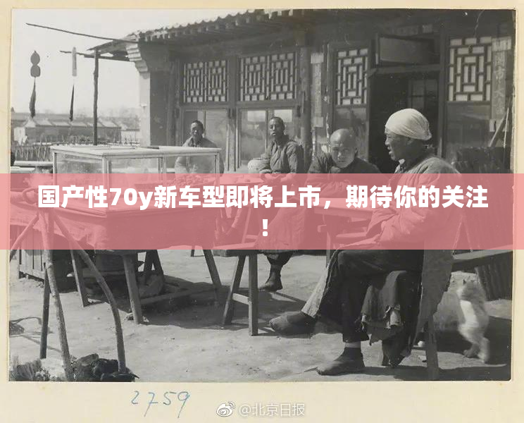 国产性70y新车型即将上市，期待你的关注！