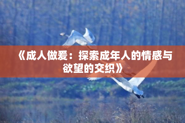《成人做爰：探索成年人的情感与欲望的交织》