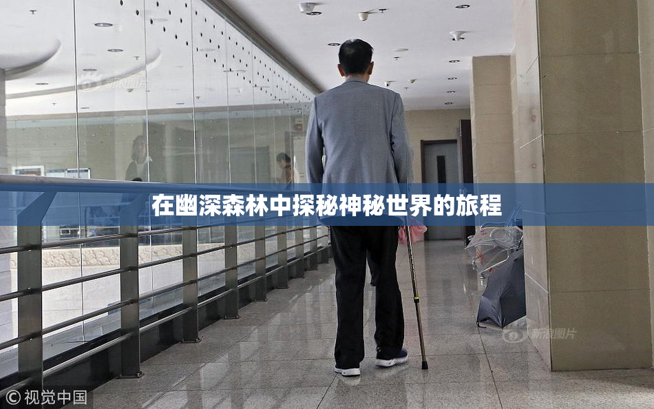 在幽深森林中探秘神秘世界的旅程