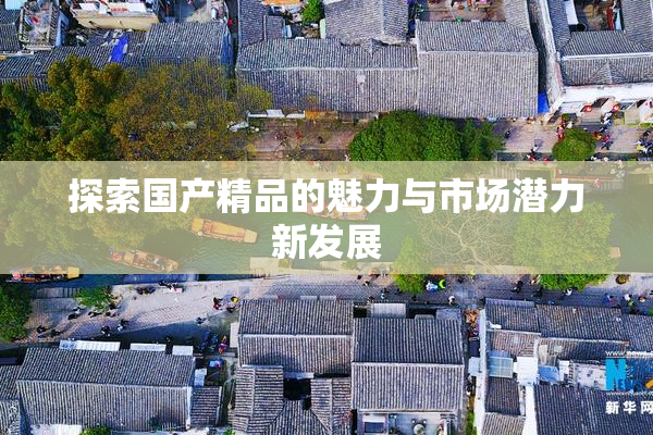 探索国产精品的魅力与市场潜力新发展