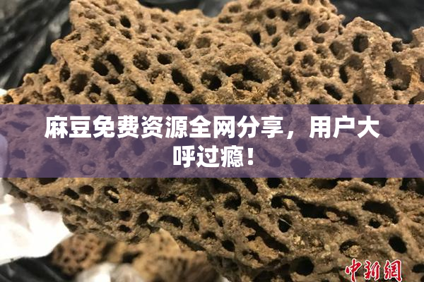 麻豆免费资源全网分享，用户大呼过瘾！