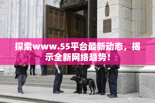 探索www.55平台最新动态，揭示全新网络趋势！