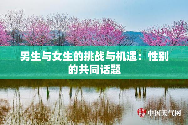 男生与女生的挑战与机遇：性别的共同话题