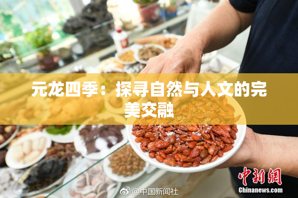 元龙四季：探寻自然与人文的完美交融