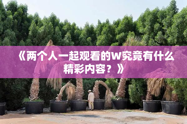 《两个人一起观看的W究竟有什么精彩内容？》