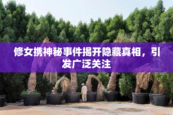 修女携神秘事件揭开隐藏真相，引发广泛关注