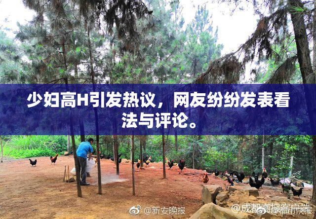 少妇高H引发热议，网友纷纷发表看法与评论。