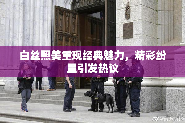 白丝照美重现经典魅力，精彩纷呈引发热议