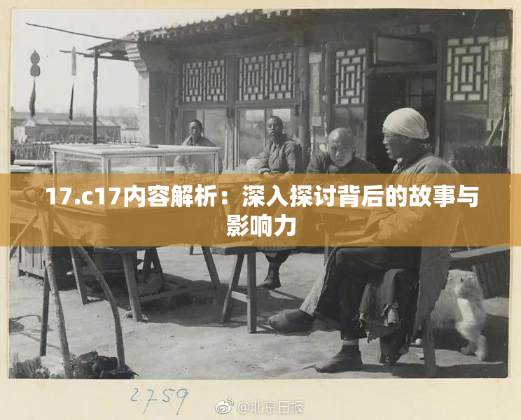 17.c17内容解析：深入探讨背后的故事与影响力