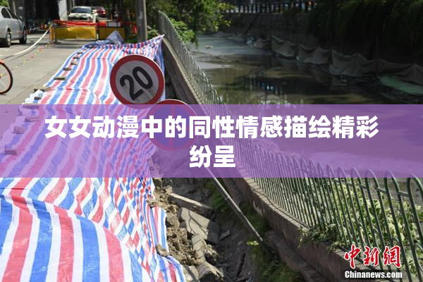 女女动漫中的同性情感描绘精彩纷呈
