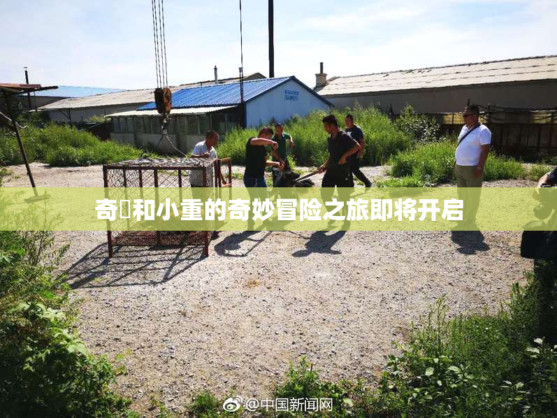 奇犽和小重的奇妙冒险之旅即将开启