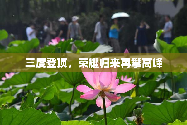 三度登顶，荣耀归来再攀高峰