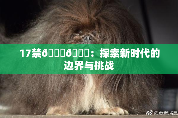 17禁🍆🍑：探索新时代的边界与挑战