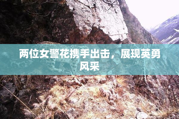 两位女警花携手出击，展现英勇风采