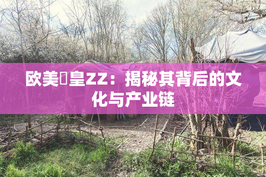 欧美嘼皇ZZ：揭秘其背后的文化与产业链