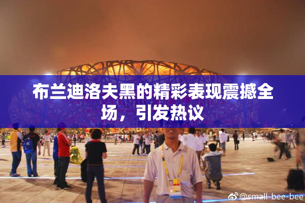 布兰迪洛夫黑的精彩表现震撼全场，引发热议