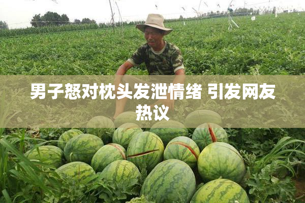 男子怒对枕头发泄情绪 引发网友热议
