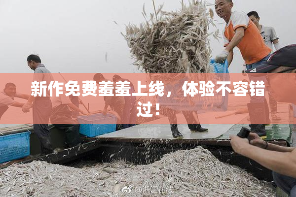 新作免费羞羞上线，体验不容错过！