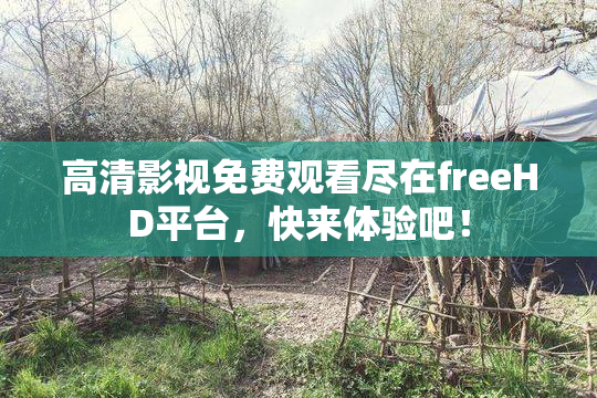 高清影视免费观看尽在freeHD平台，快来体验吧！