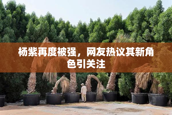 杨紫再度被强，网友热议其新角色引关注