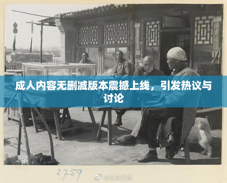 成人内容无删减版本震撼上线，引发热议与讨论