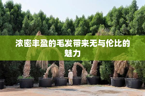 浓密丰盈的毛发带来无与伦比的魅力