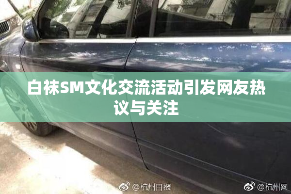 白袜SM文化交流活动引发网友热议与关注