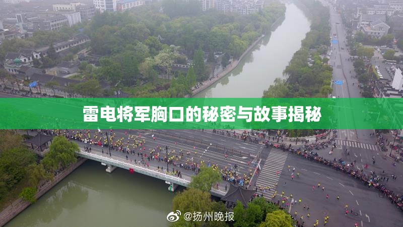 雷电将军胸口的秘密与故事揭秘