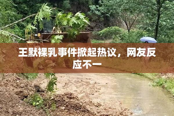 王默裸乳事件掀起热议，网友反应不一