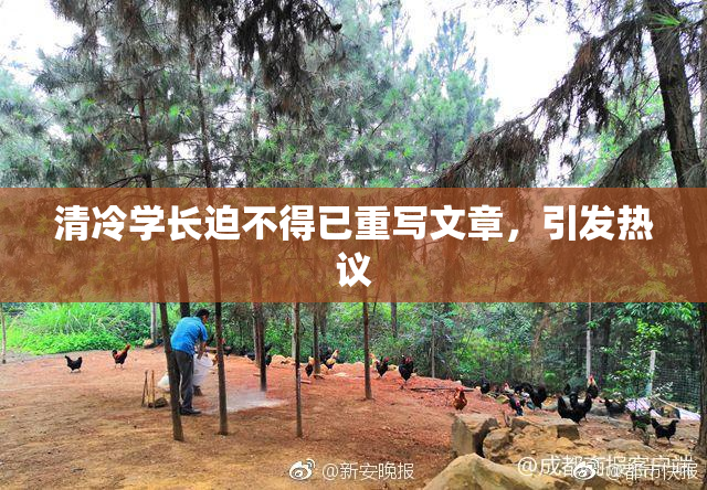 清冷学长迫不得已重写文章，引发热议