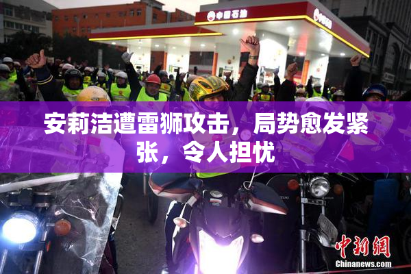 安莉洁遭雷狮攻击，局势愈发紧张，令人担忧