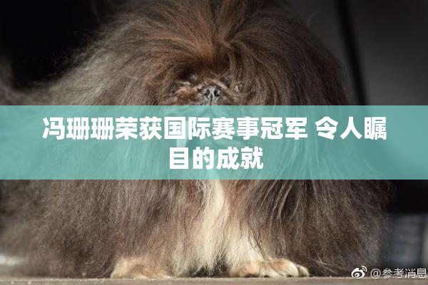 冯珊珊荣获国际赛事冠军 令人瞩目的成就