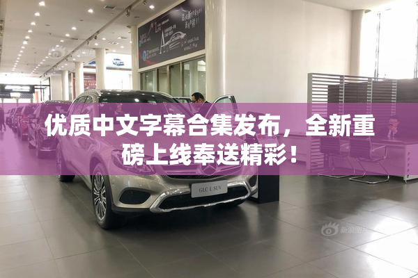 优质中文字幕合集发布，全新重磅上线奉送精彩！