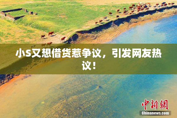 小S又想借货惹争议，引发网友热议！
