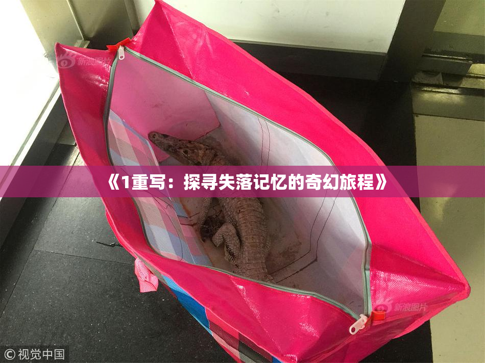 《1重写：探寻失落记忆的奇幻旅程》