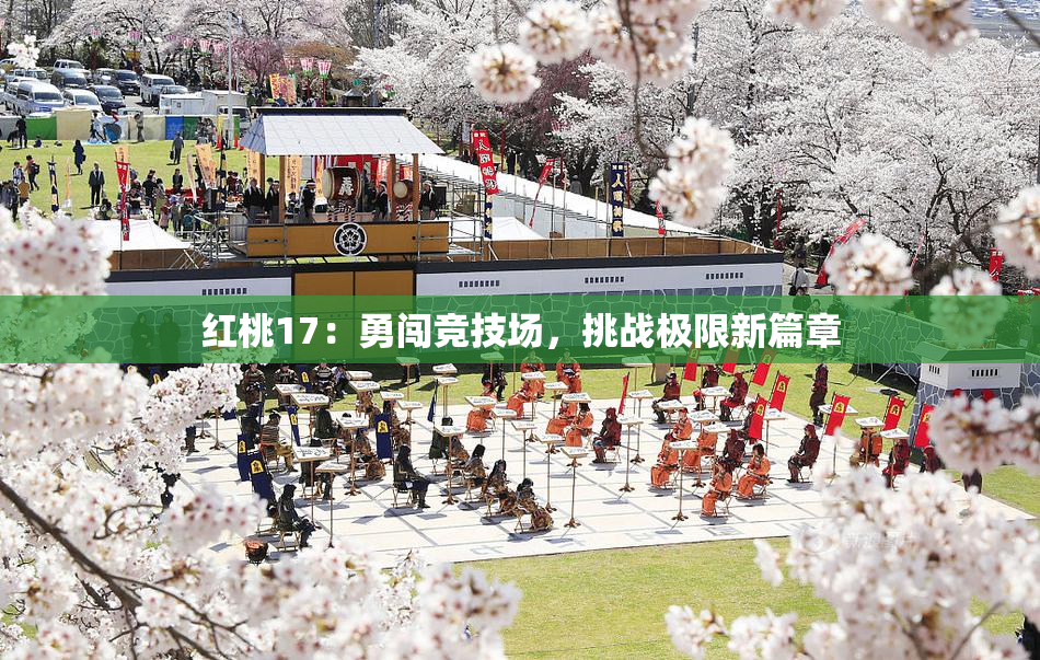 红桃17：勇闯竞技场，挑战极限新篇章