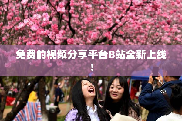 免费的视频分享平台B站全新上线！