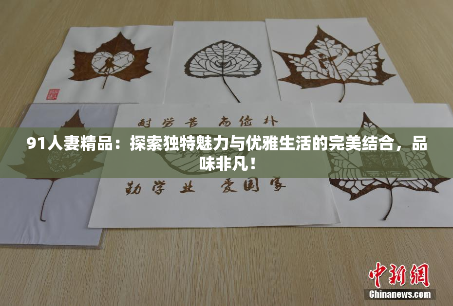 91人妻精品：探索独特魅力与优雅生活的完美结合，品味非凡！