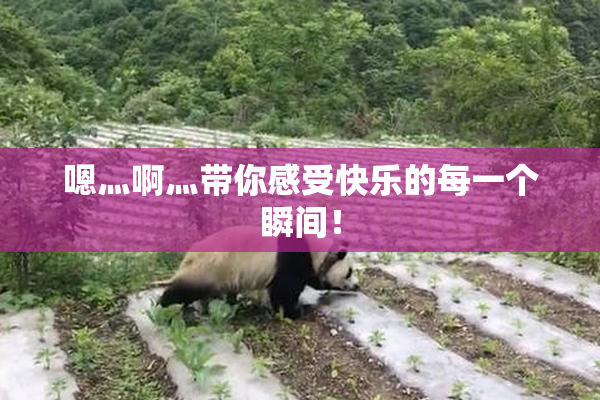 嗯灬啊灬带你感受快乐的每一个瞬间！