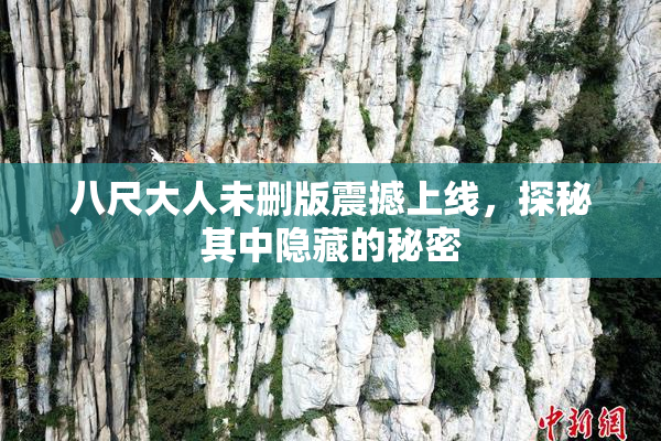 八尺大人未删版震撼上线，探秘其中隐藏的秘密