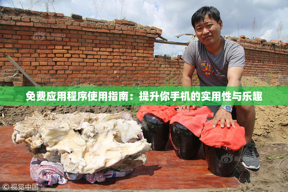 免费应用程序使用指南：提升你手机的实用性与乐趣