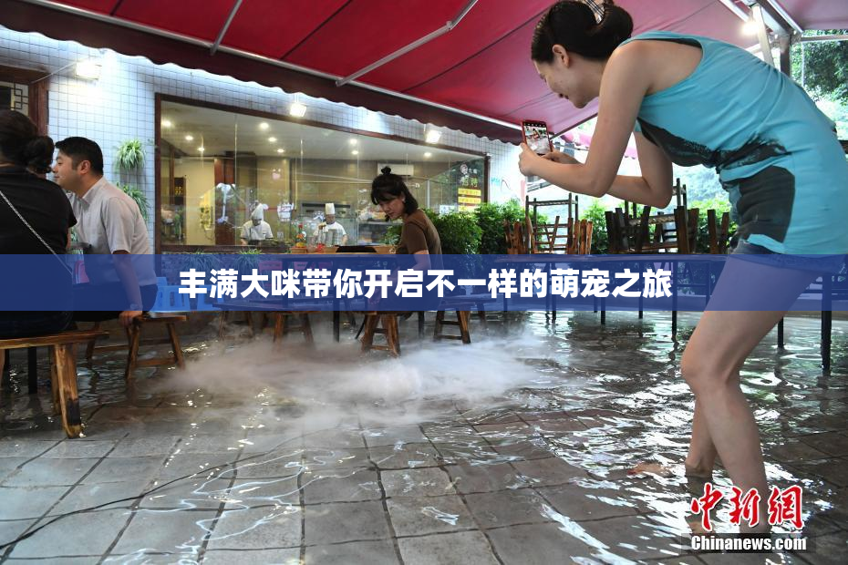丰满大咪带你开启不一样的萌宠之旅