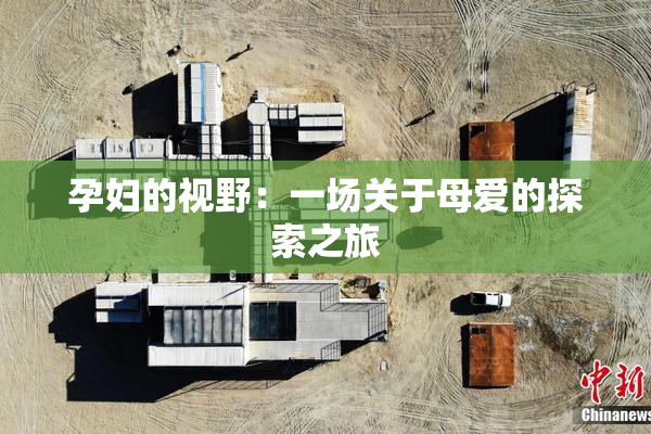 孕妇的视野：一场关于母爱的探索之旅