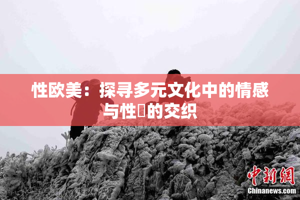 性欧美：探寻多元文化中的情感与性愛的交织