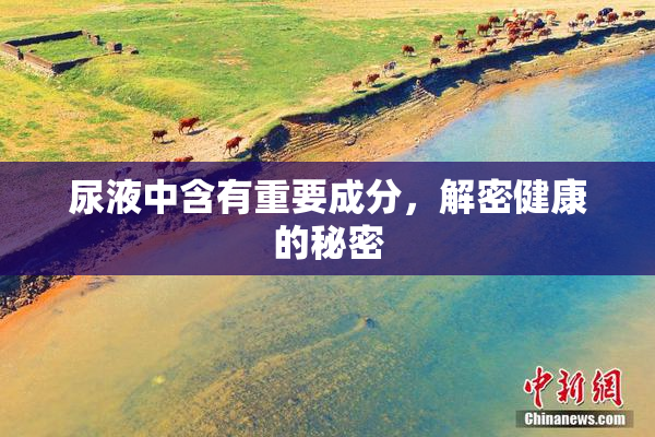 尿液中含有重要成分，解密健康的秘密