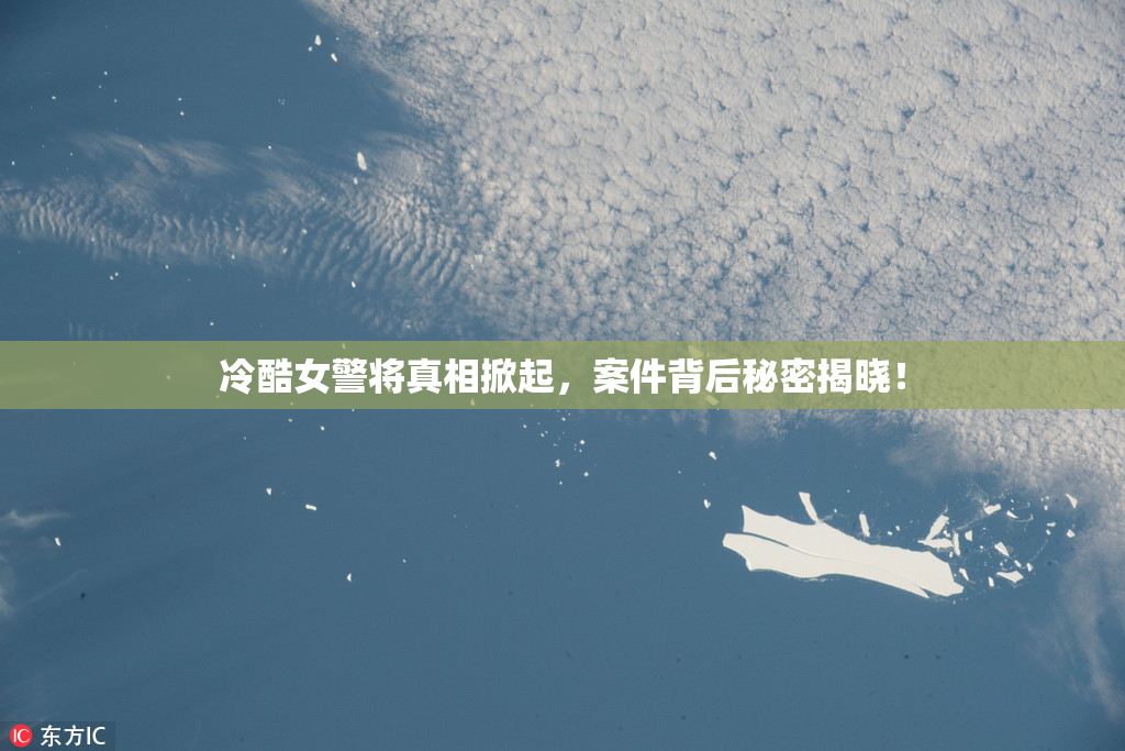 冷酷女警将真相掀起，案件背后秘密揭晓！